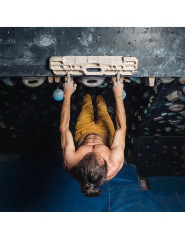 YY Vertical - VerticalBoard Evo
