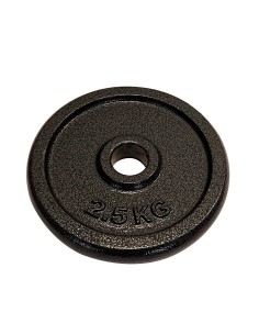 Hantelscheiben - Gusseisen - 31mm Bohrung 2