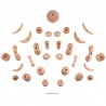 Symmetric Wood Holds II - 31 symmetrische Klettergriffe aus Holz