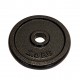 Weight Plates - Cast Iron - 31mm Drilling