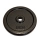 Weight Plates - Cast Iron - 31mm Drilling