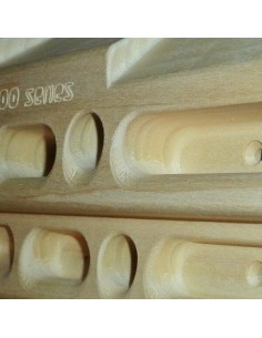 beastmaker 2000 series 2