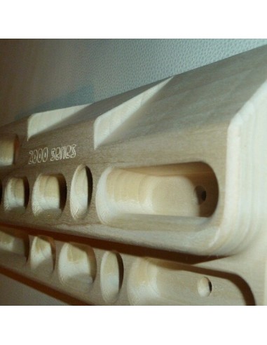 beastmaker 2000 series