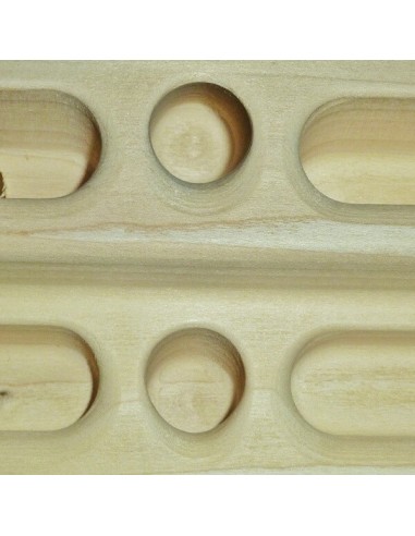 beastmaker 2000 series