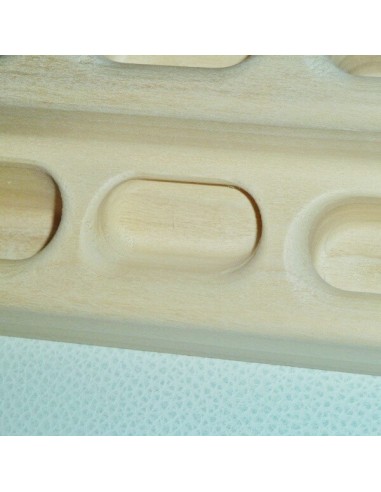 beastmaker 2000 series