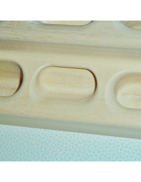 beastmaker 2000 series