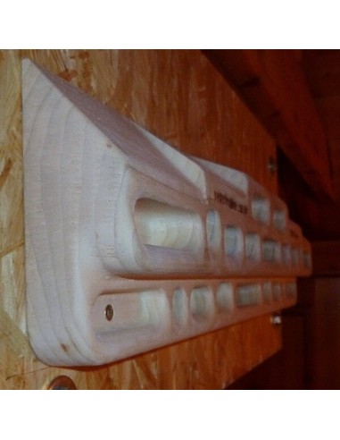 beastmaker 2000 series