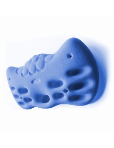 HOLDZ Fingerboard 1 2