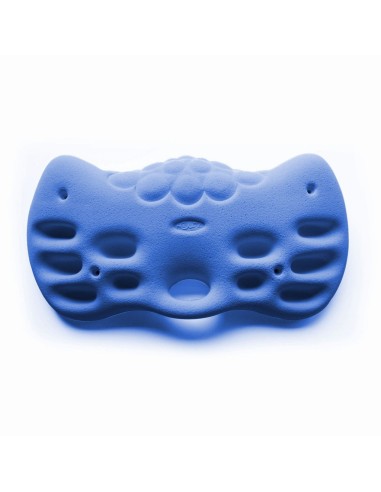 HOLDZ Fingerboard 1