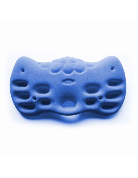 HOLDZ Fingerboard 1