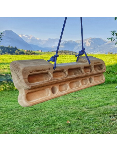 Linebreaker AIR Trainingsboard