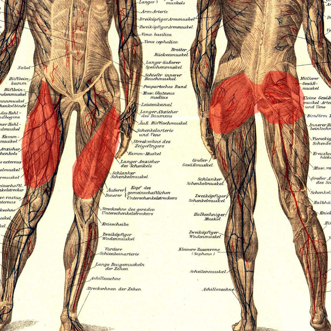 Deltas, Triceps, Pectoralis